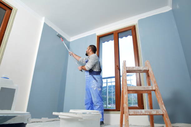 Best Drywall Removal and Disposal  in Cutten, CA